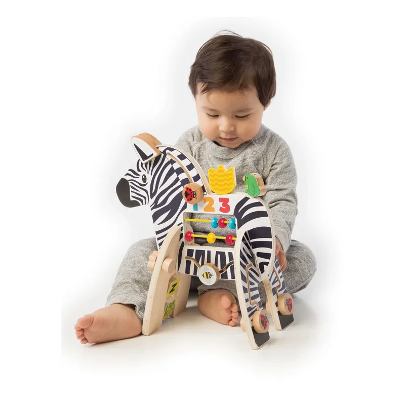 Activity Center Zebra