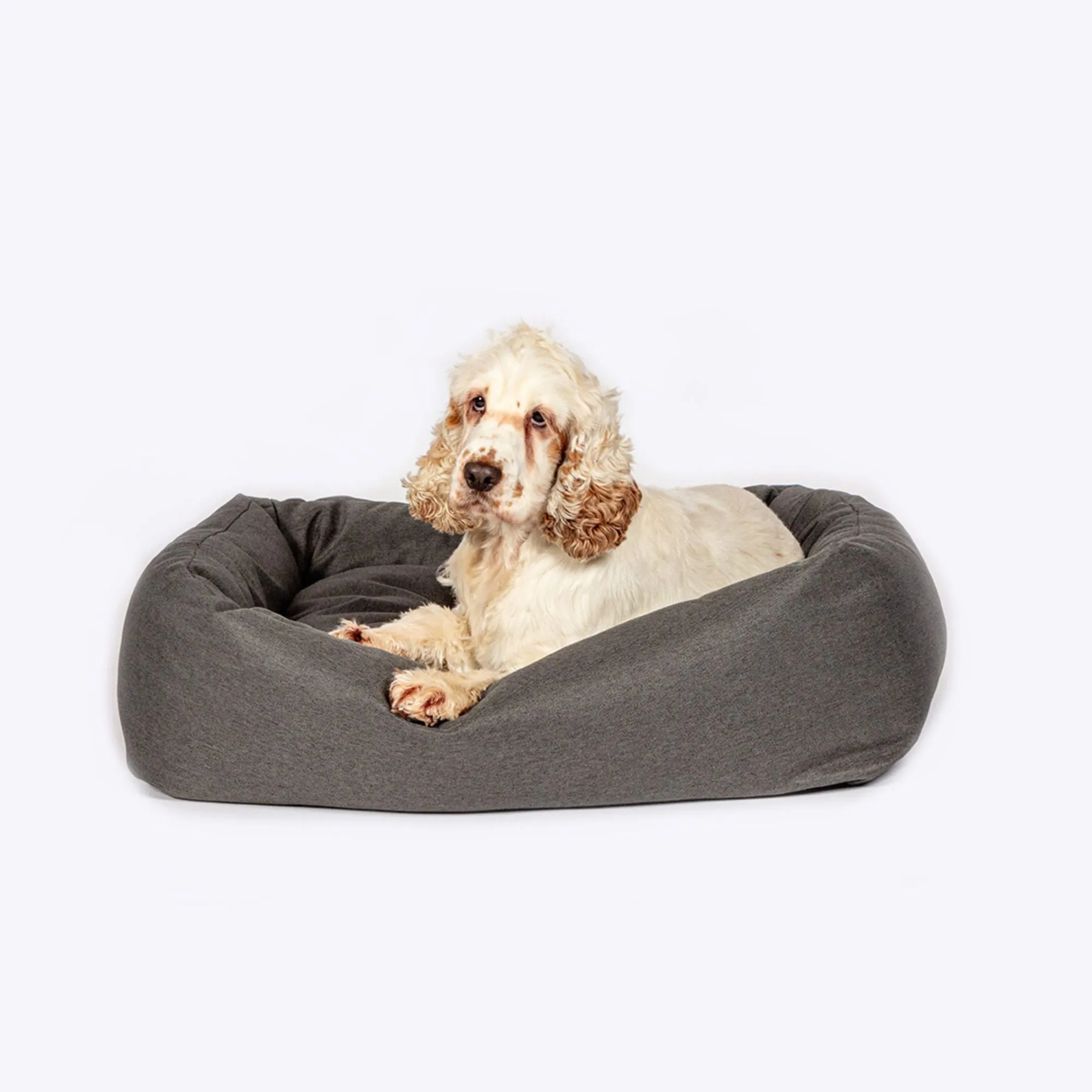 Anti-Bacterial Snuggle Bed