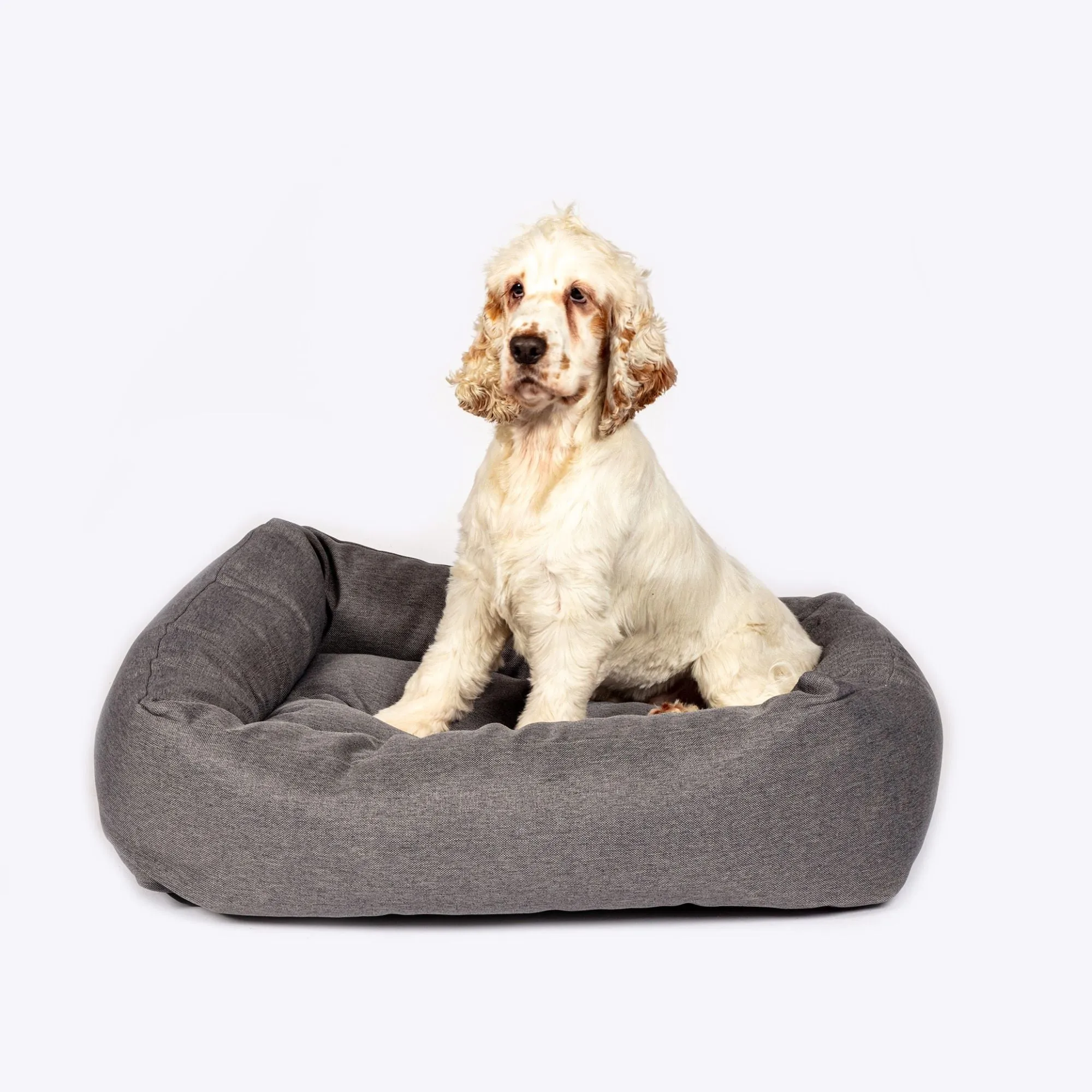 Anti-Bacterial Snuggle Bed