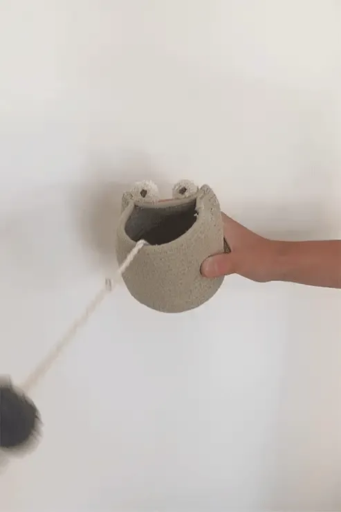 Cup   Ball Baby Frog Toy