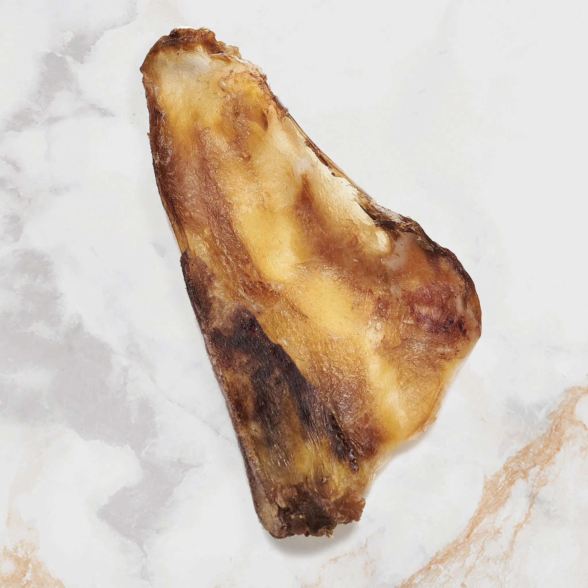 Dehydrated Bison Scapula Slice