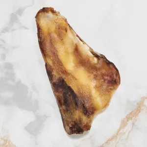 Dehydrated Bison Scapula Slice