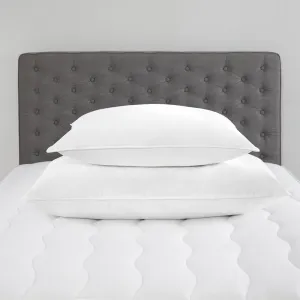 Firm Down Alternative Pillow (Chamberfirm) Set of 2