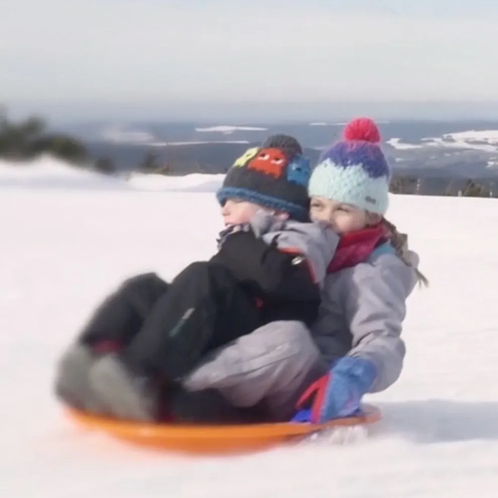 Fun UFO Sled