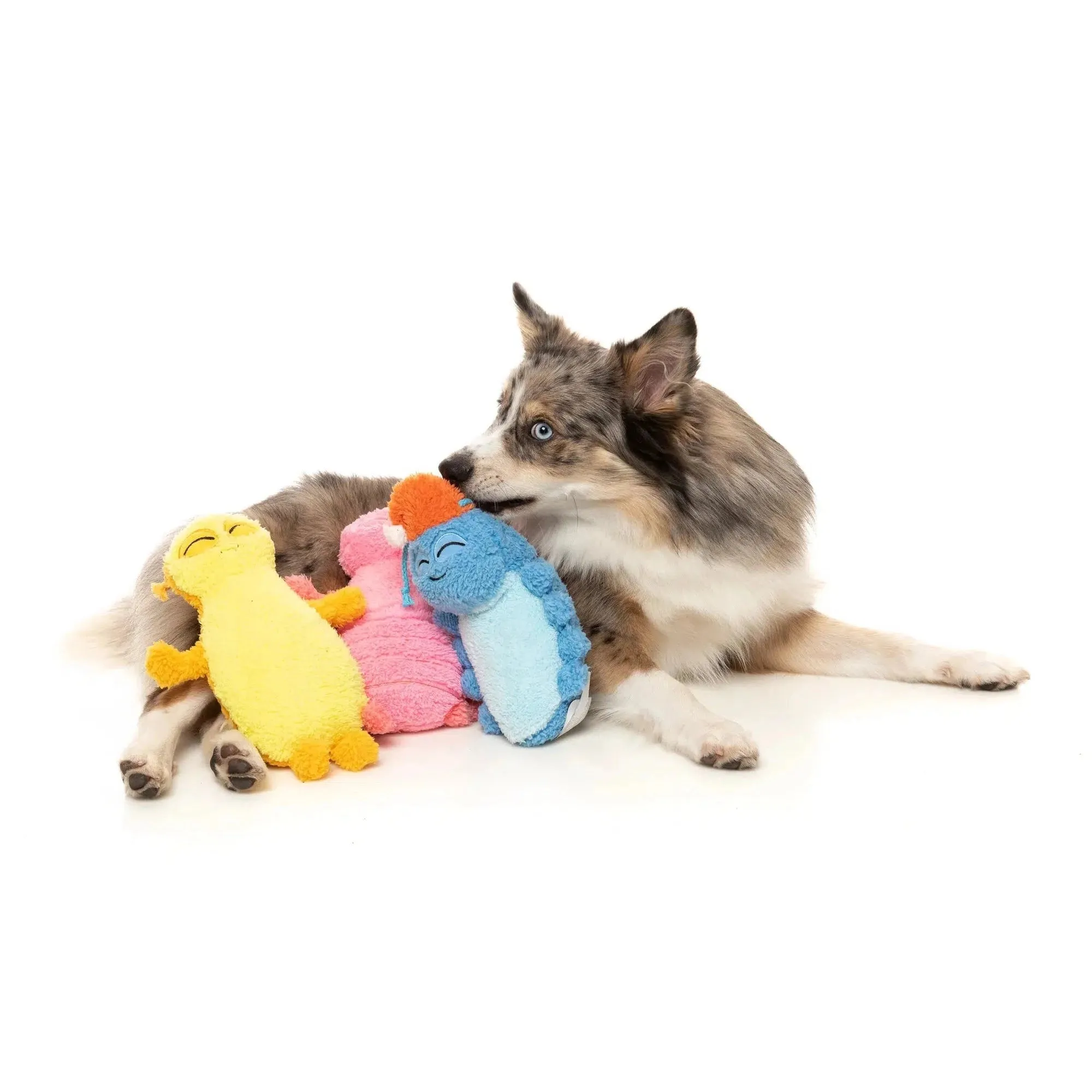 FuzzYard | Rolly The Bed Bug - Plush Dog Toy