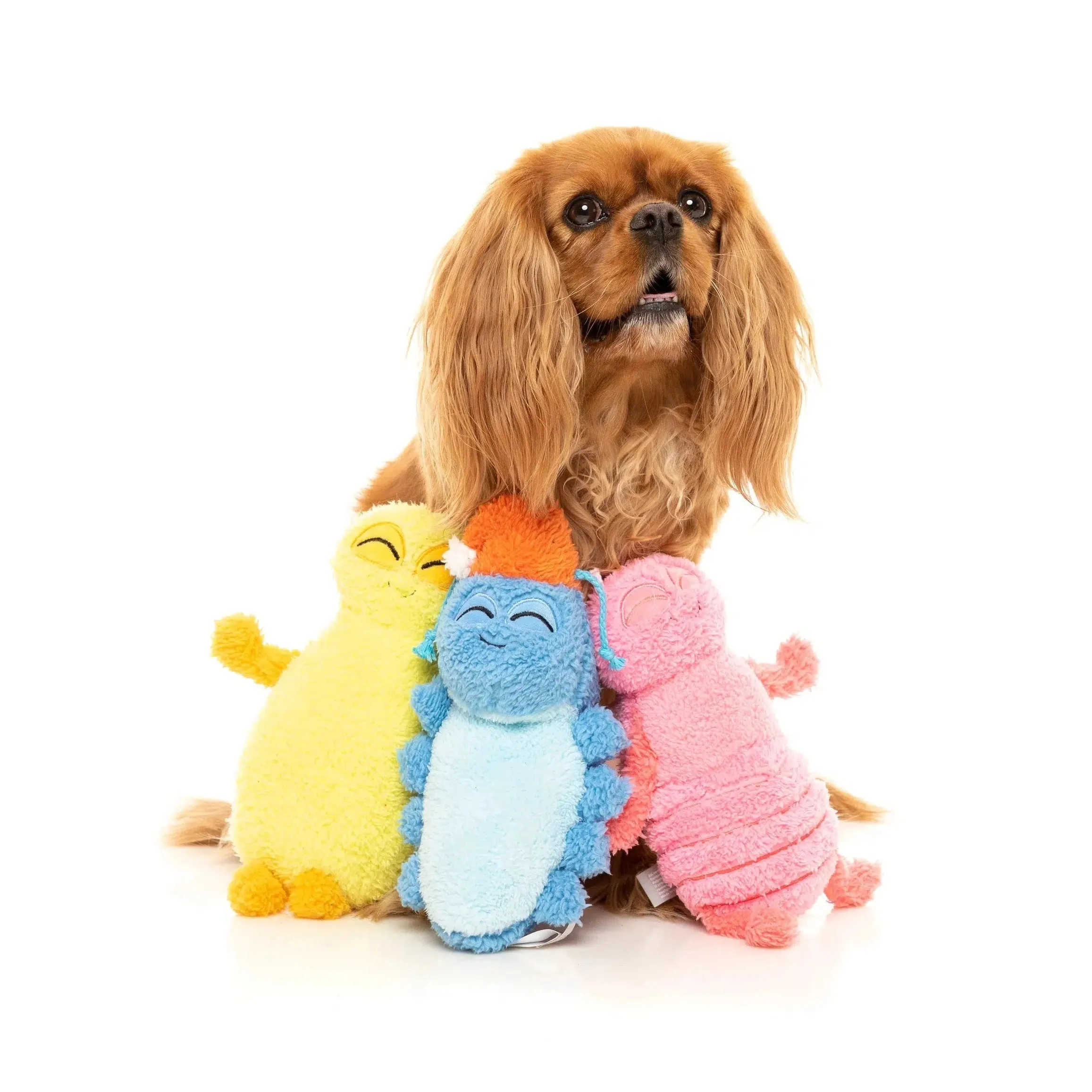 FuzzYard | Rolly The Bed Bug - Plush Dog Toy