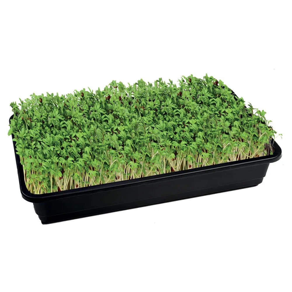 Garland Jute Seed Mat Midi (Pack of 3)