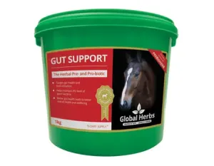 Global H Gut Support - 1 kg