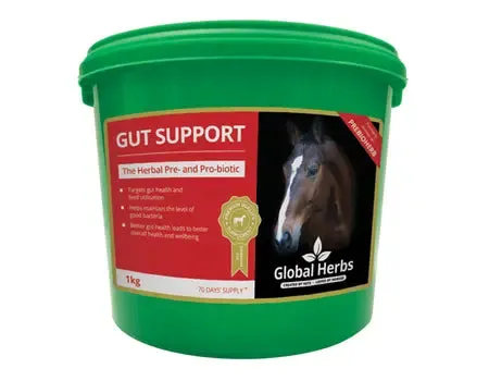 Global H Gut Support - 1 kg