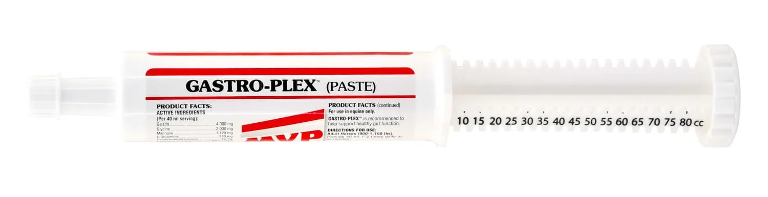 Med-Vet Gastro-Plex Paste