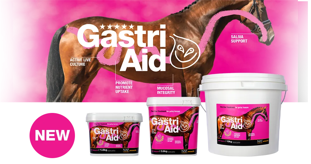NAF Gastriaid