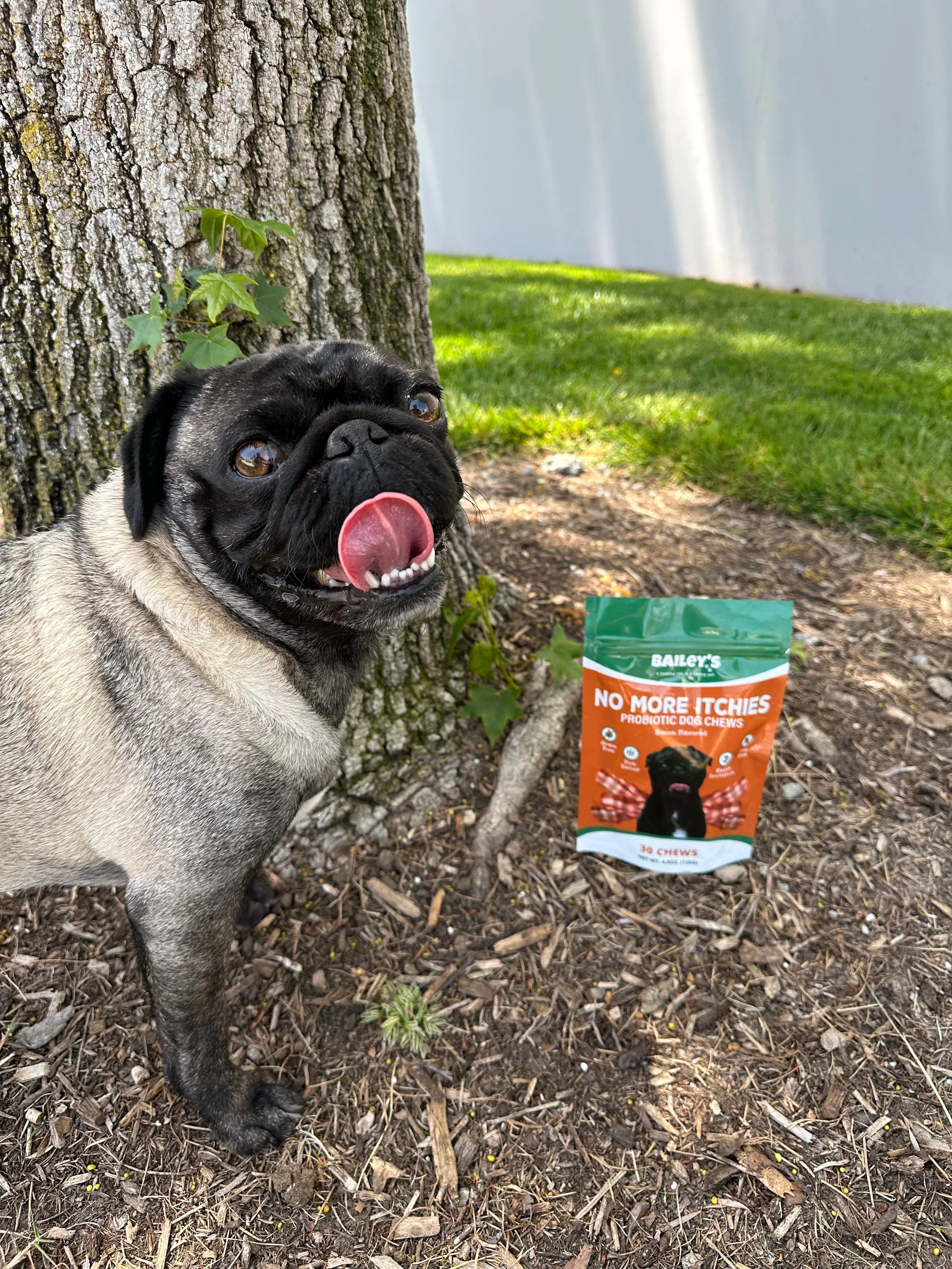 No More Itchies Probiotic Dog Chews