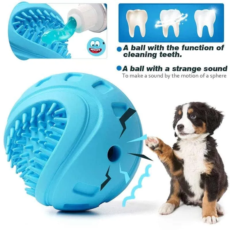 Pawsindia Brush Ball Teeth Cleaning Toy for Dogs
