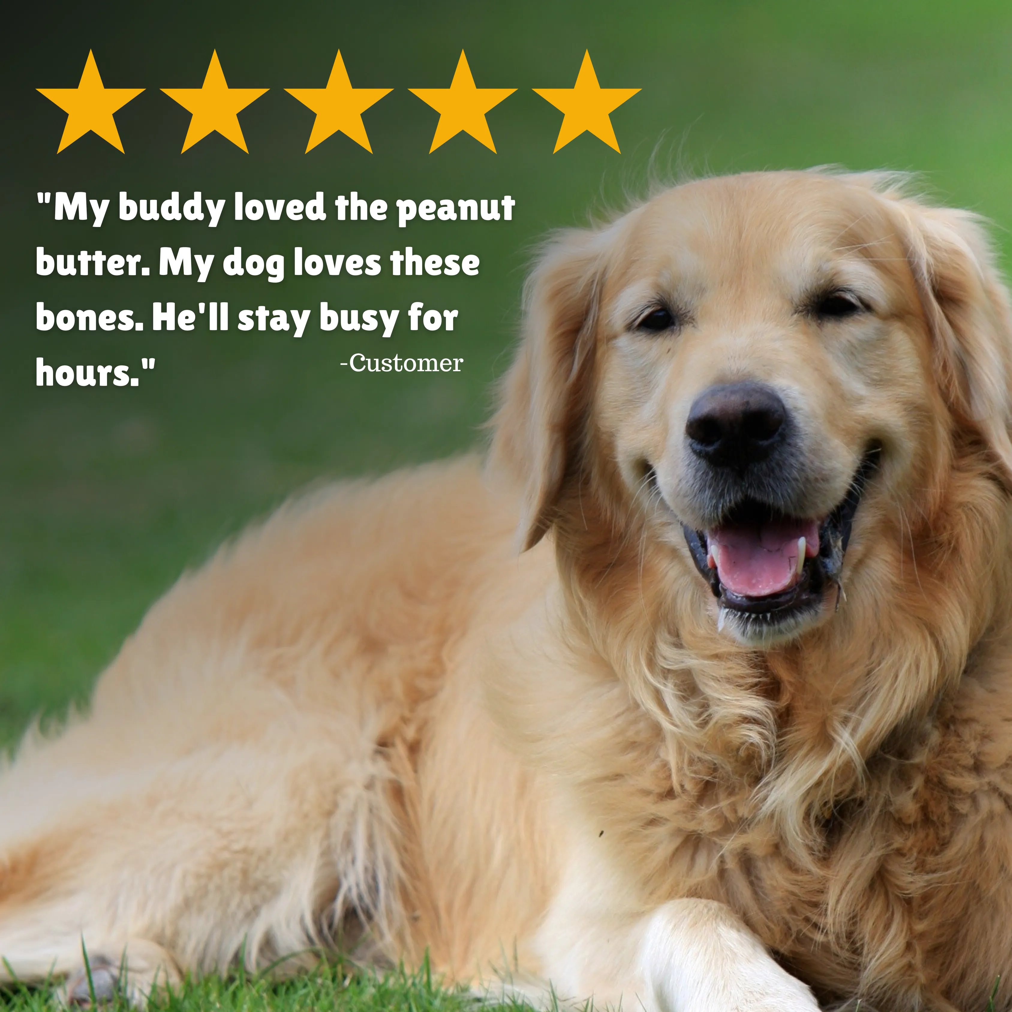 Peanut Butter Basted Beefhide: Retriever