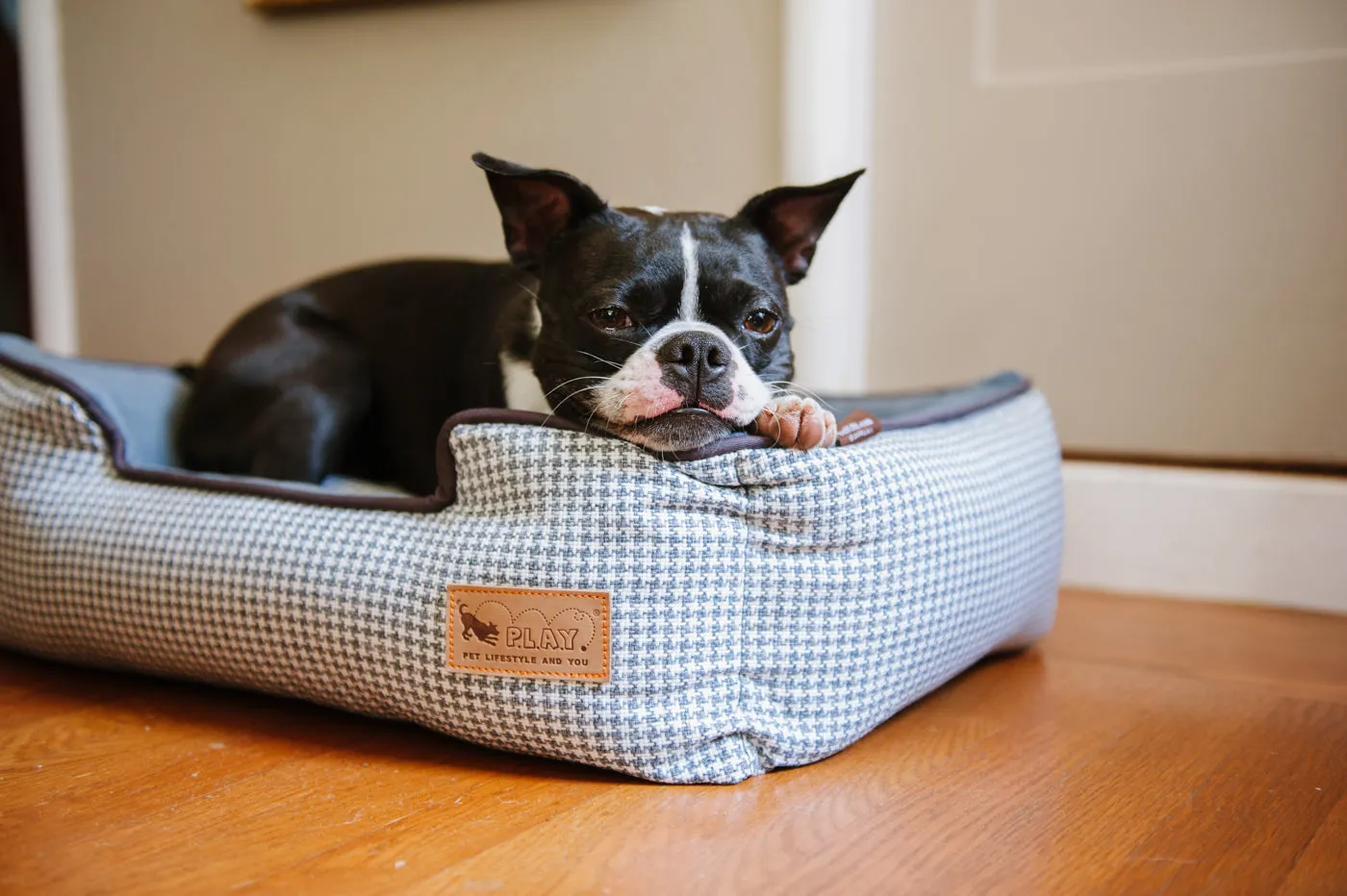 [Pre-order]Lounge Dog Bed: Houndstooth Light Blue