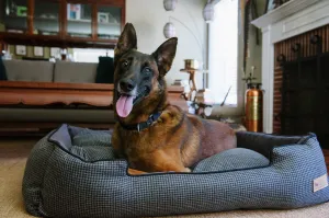 [Pre-order]Lounge Dog Bed: Houndstooth Shadow Grey