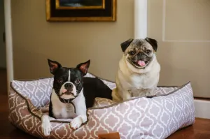 [Pre-order]Lounge Dog Bed: Moroccan Ash Grey