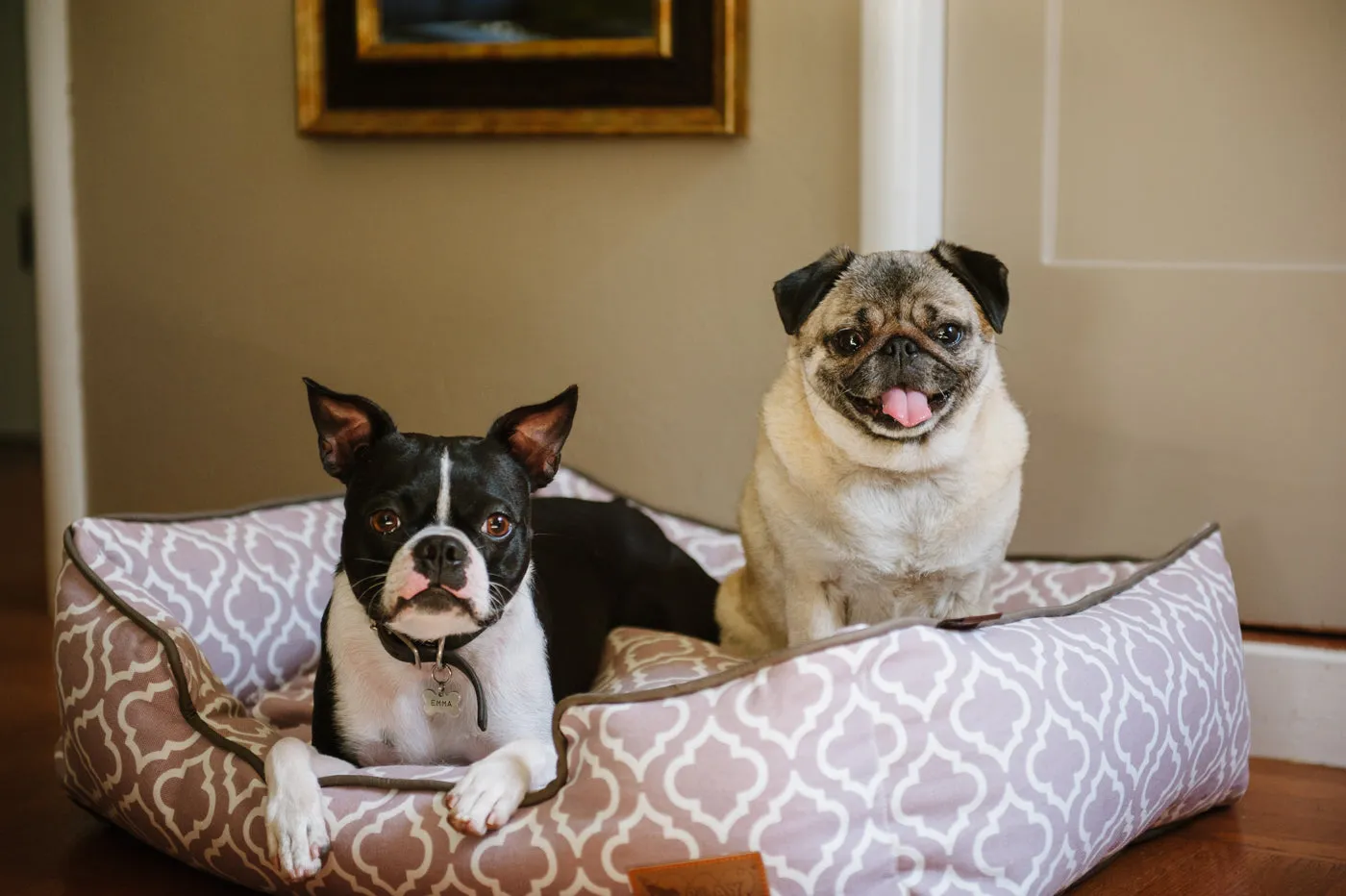 [Pre-order]Lounge Dog Bed: Moroccan Ash Grey