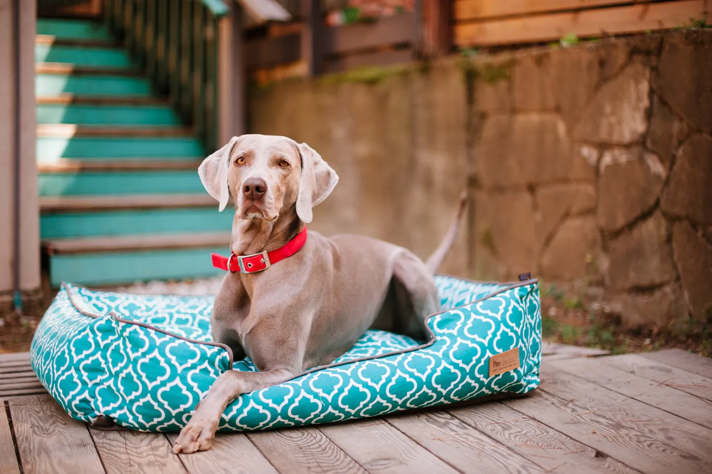 [Pre-order]Lounge Dog Bed: Moroccan Teal