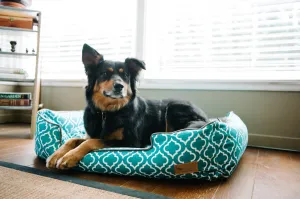 [Pre-order]Lounge Dog Bed: Moroccan Teal