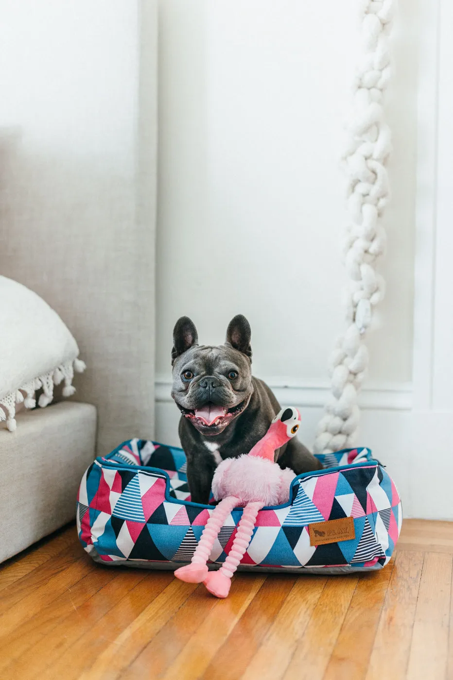[Pre-order]Lounge Dog Bed: Mosaic Soda Pop