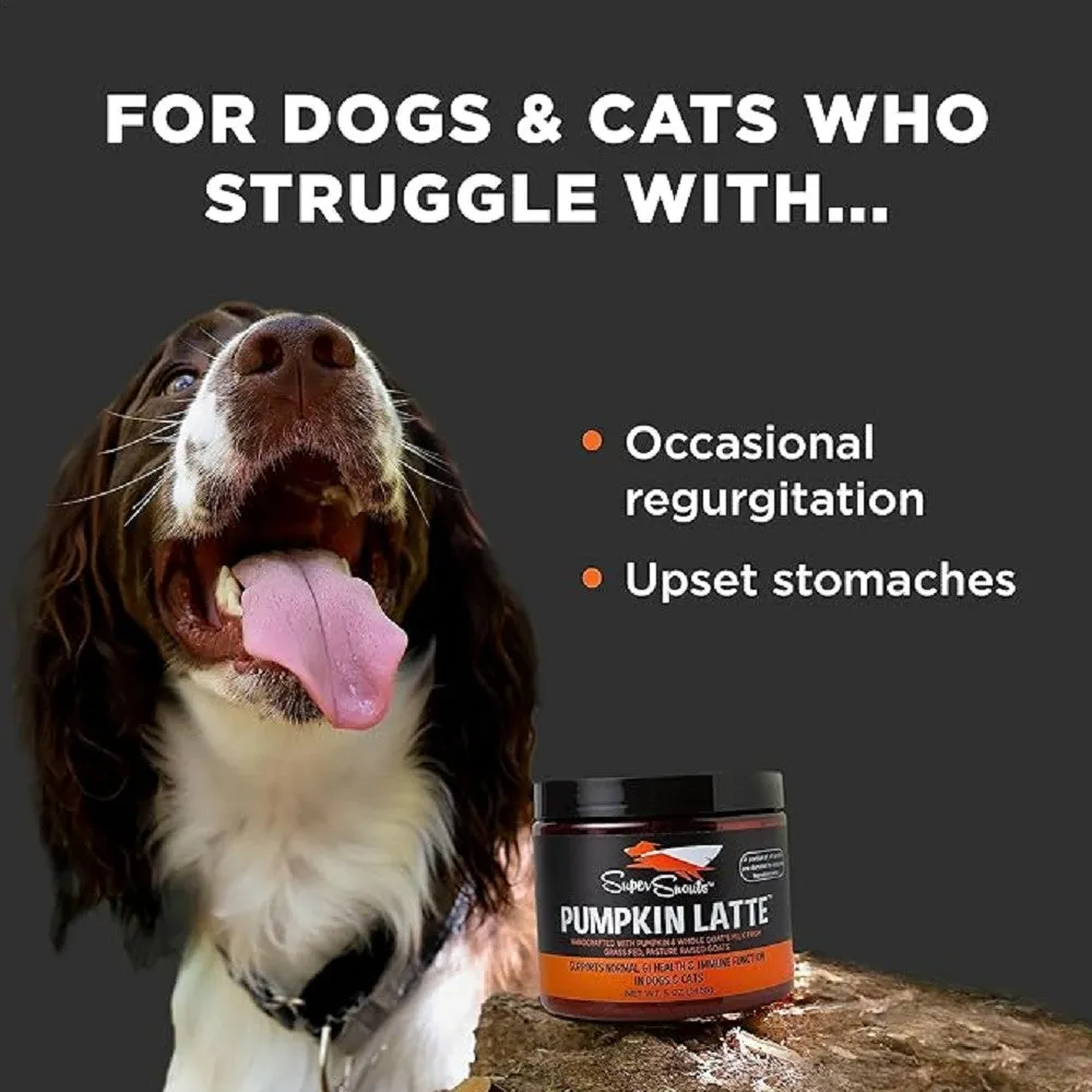 Pumpkin Latte Digestive Powered Pet Supplement