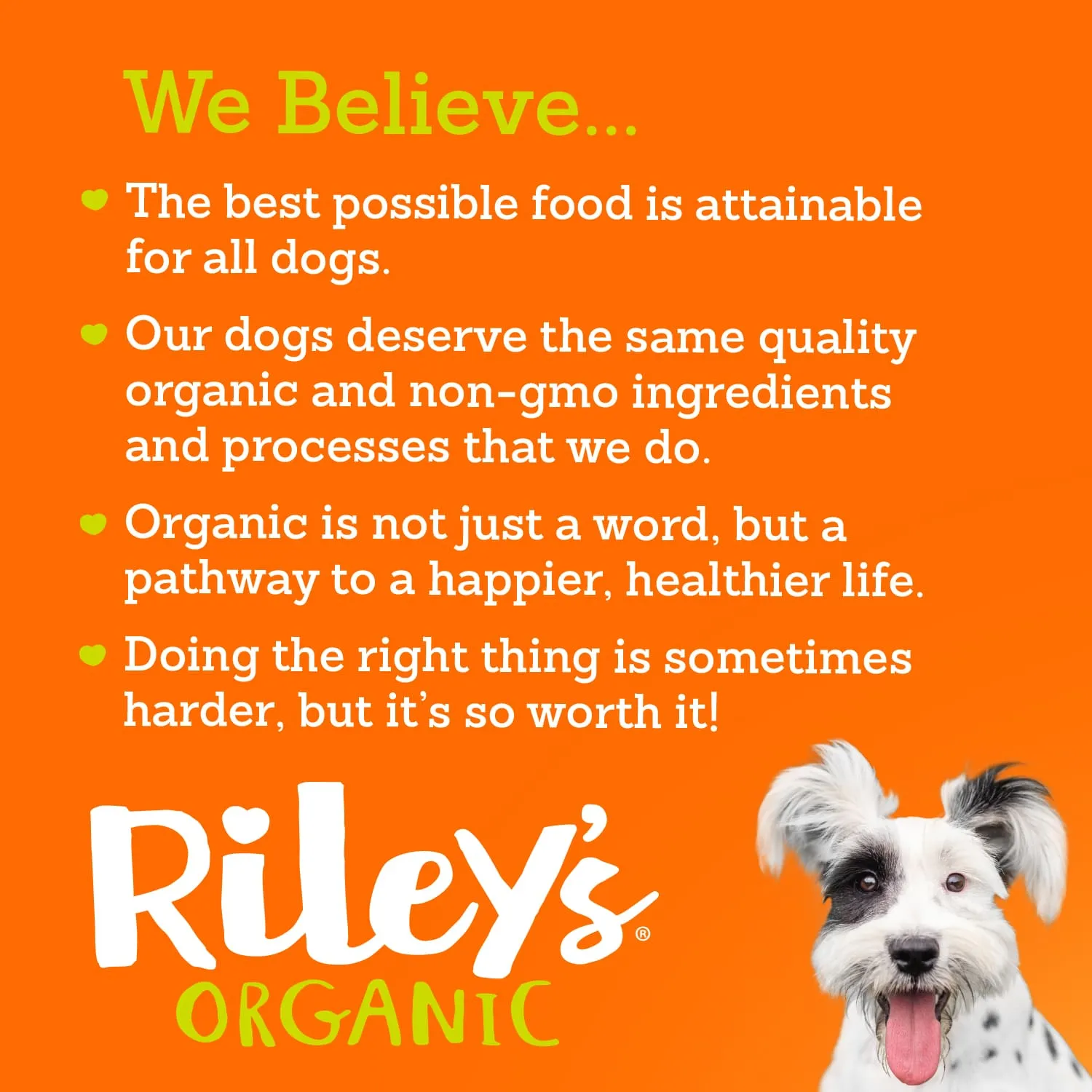 Riley's Organic Pumpkin & Coconut Recipe Baked Large Treats