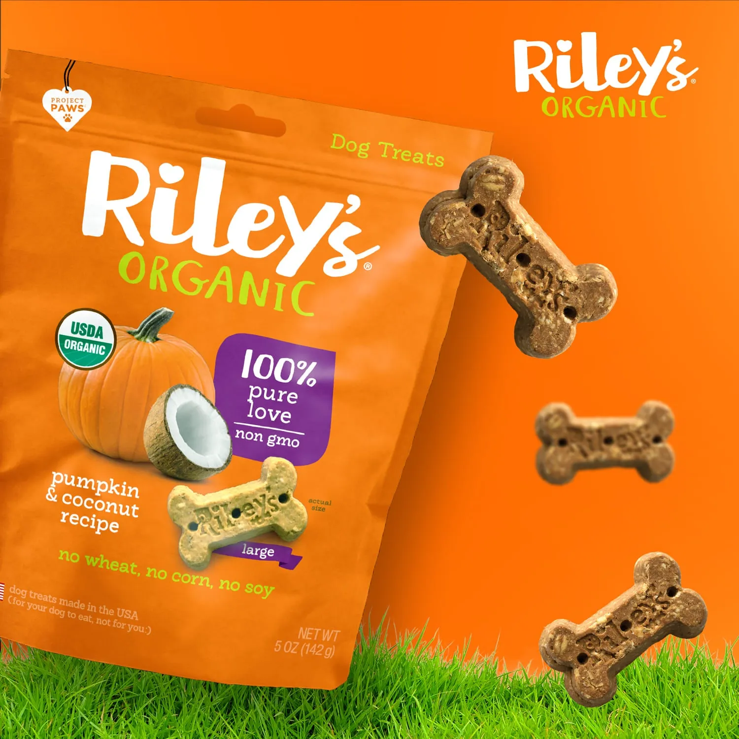Riley's Organic Pumpkin & Coconut Recipe Baked Large Treats