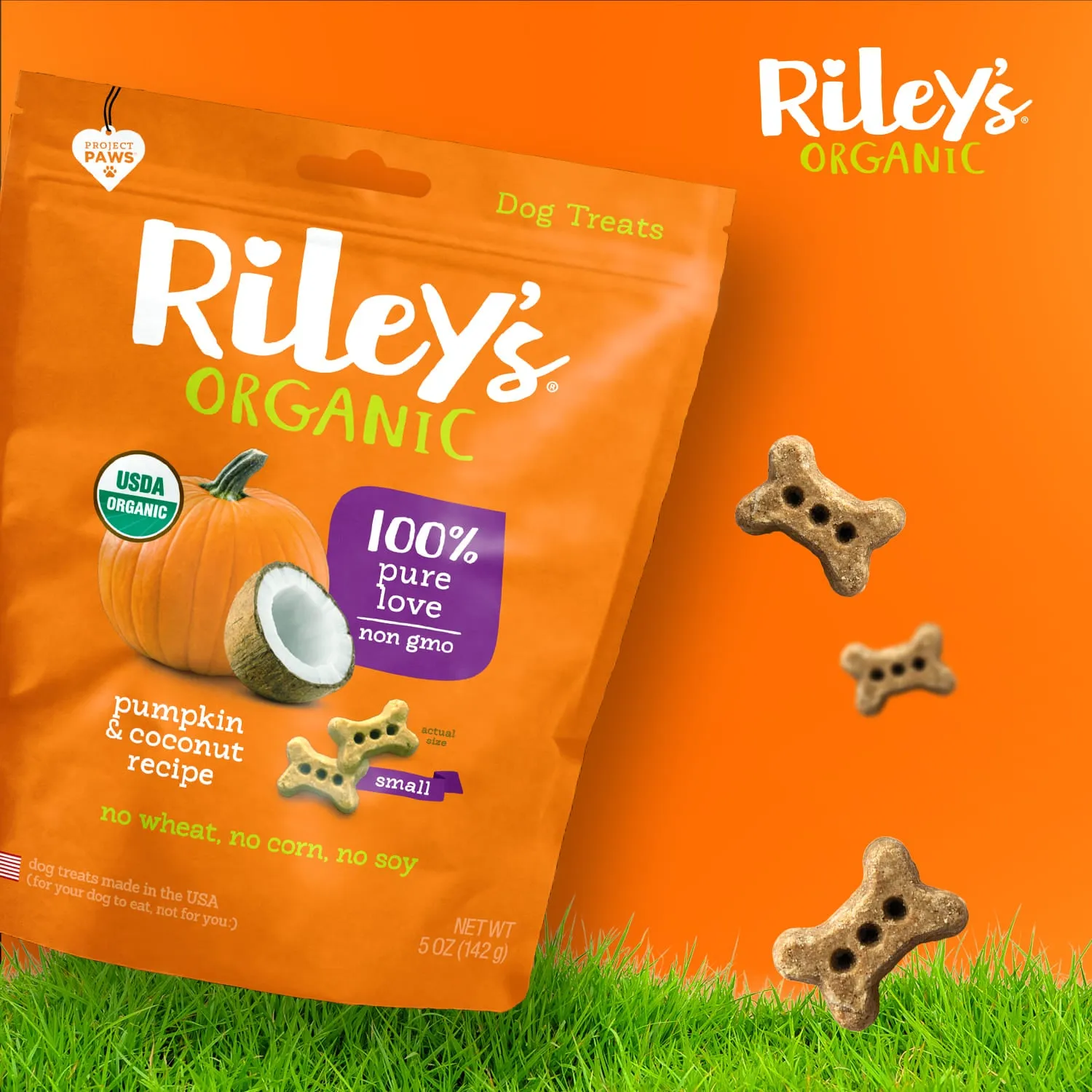 Riley's Organic Pumpkin & Coconut Recipe Baked Small Dog Treats
