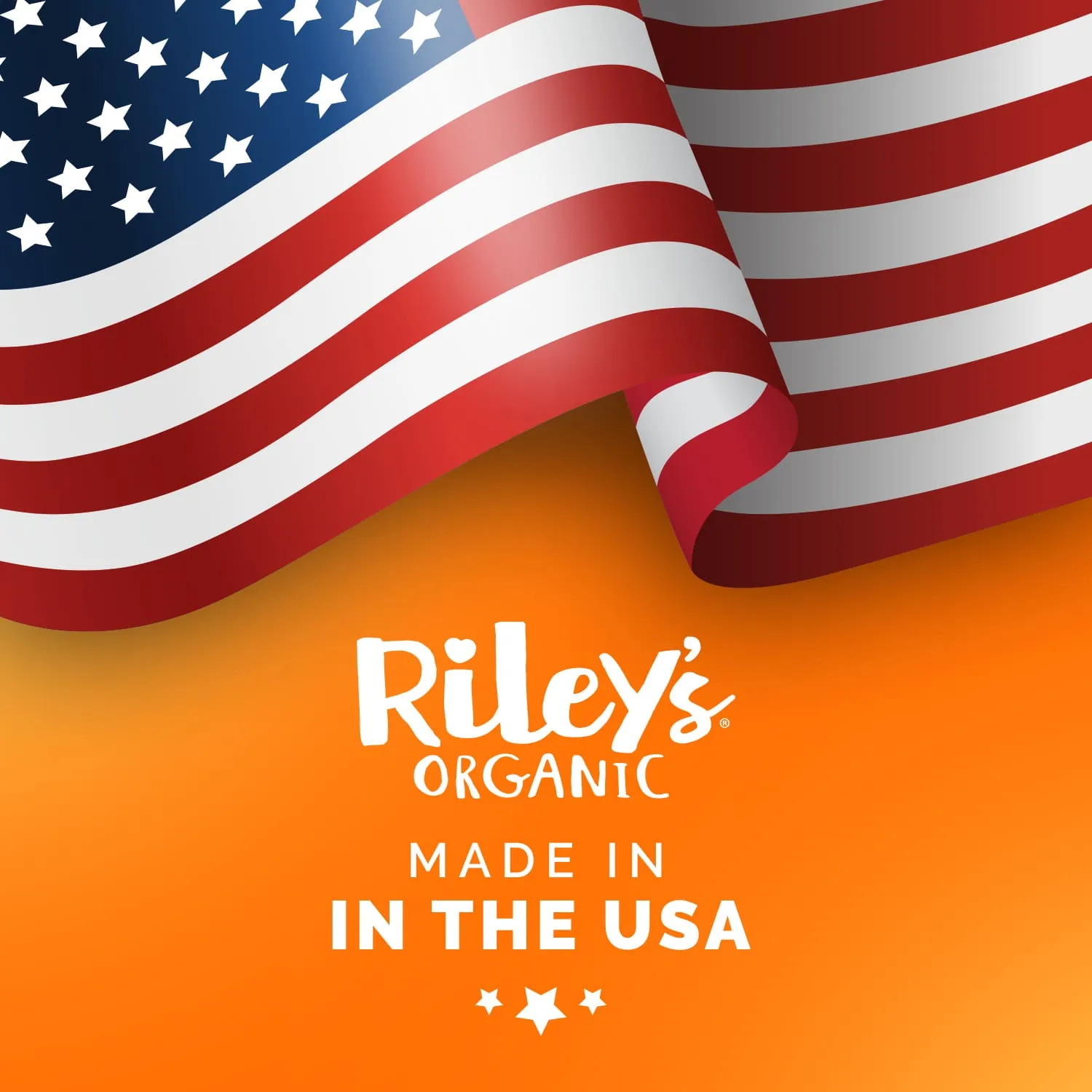 Riley's Organic Pumpkin & Coconut Recipe Baked Small Dog Treats