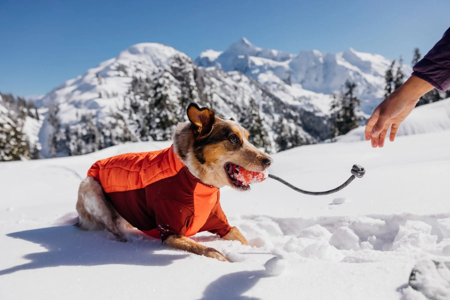 Ruffwear Huck-a-Cone