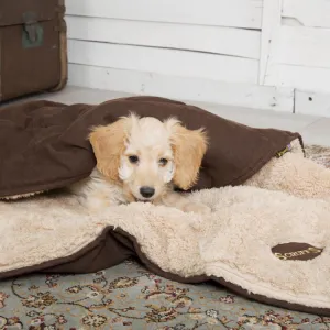 Scruffs Cosy Snuggle Dog Blanket - Chocolate