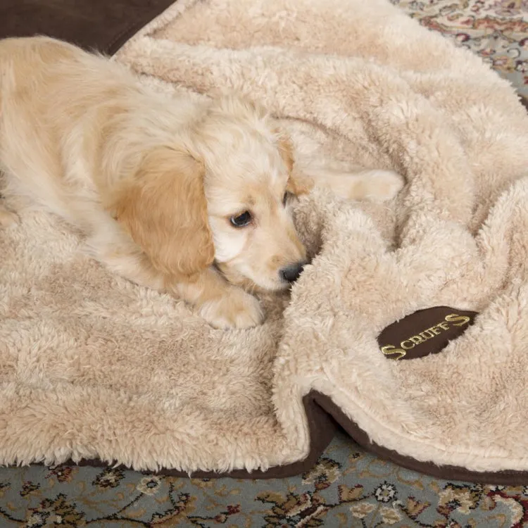 Scruffs Cosy Snuggle Dog Blanket - Chocolate