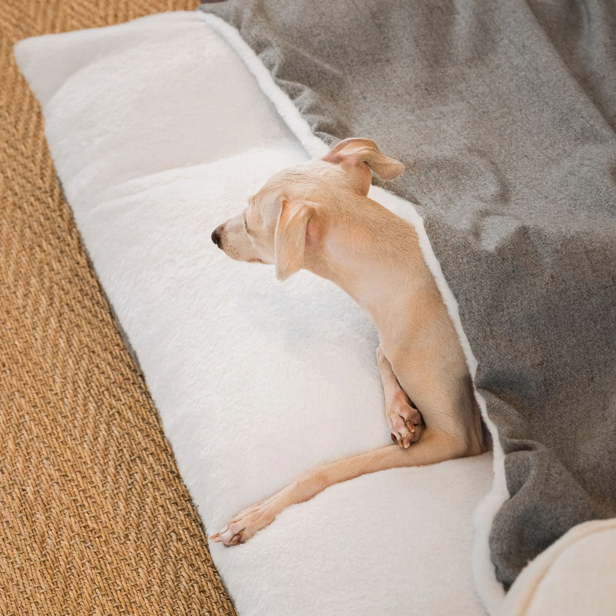 Sleepy Burrows Bed With Removable Cover In Inchmurrin Ground by Lords & Labradors