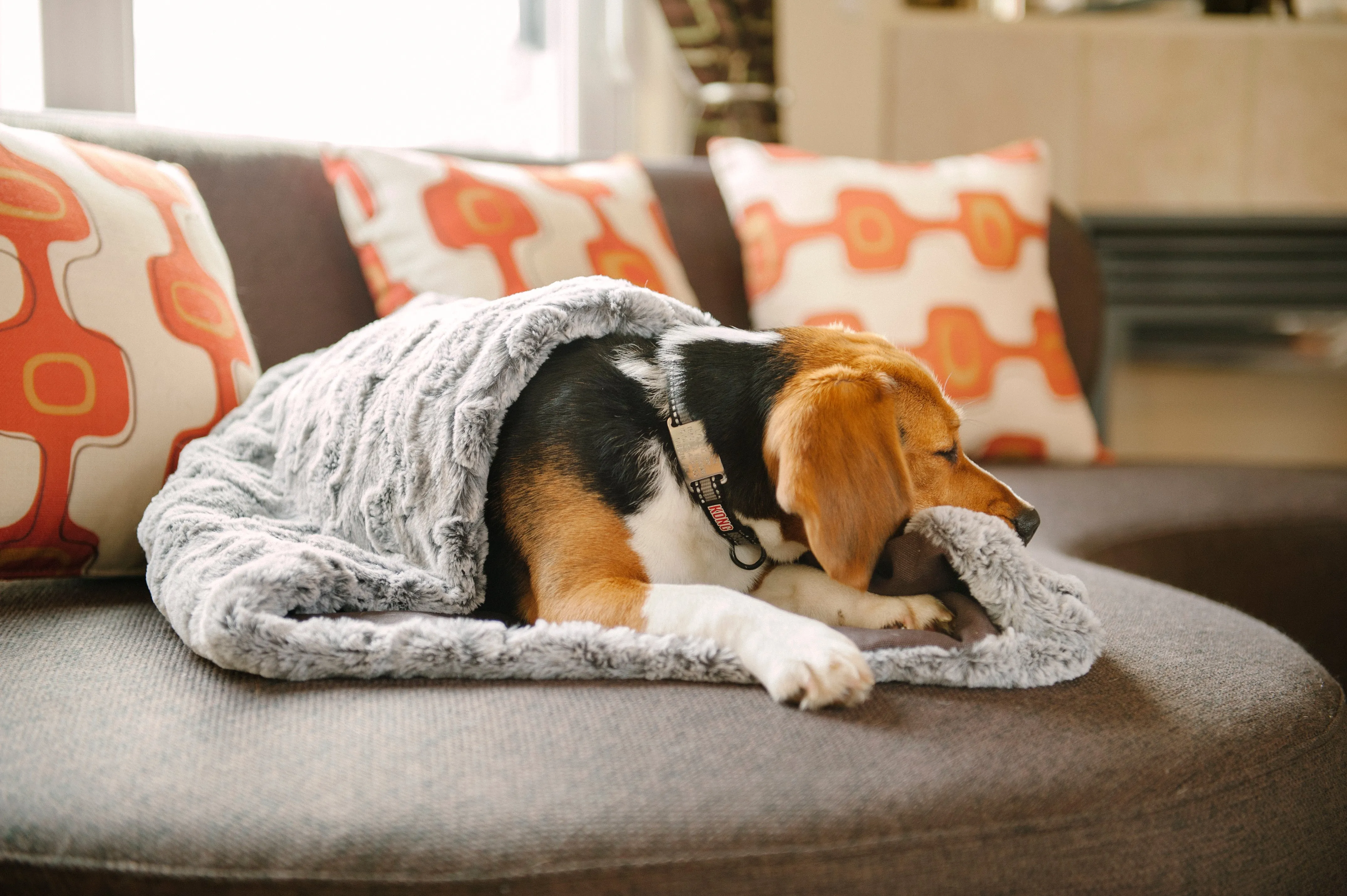 Snuggle Beds for Dogs and Cats: Husky Grey