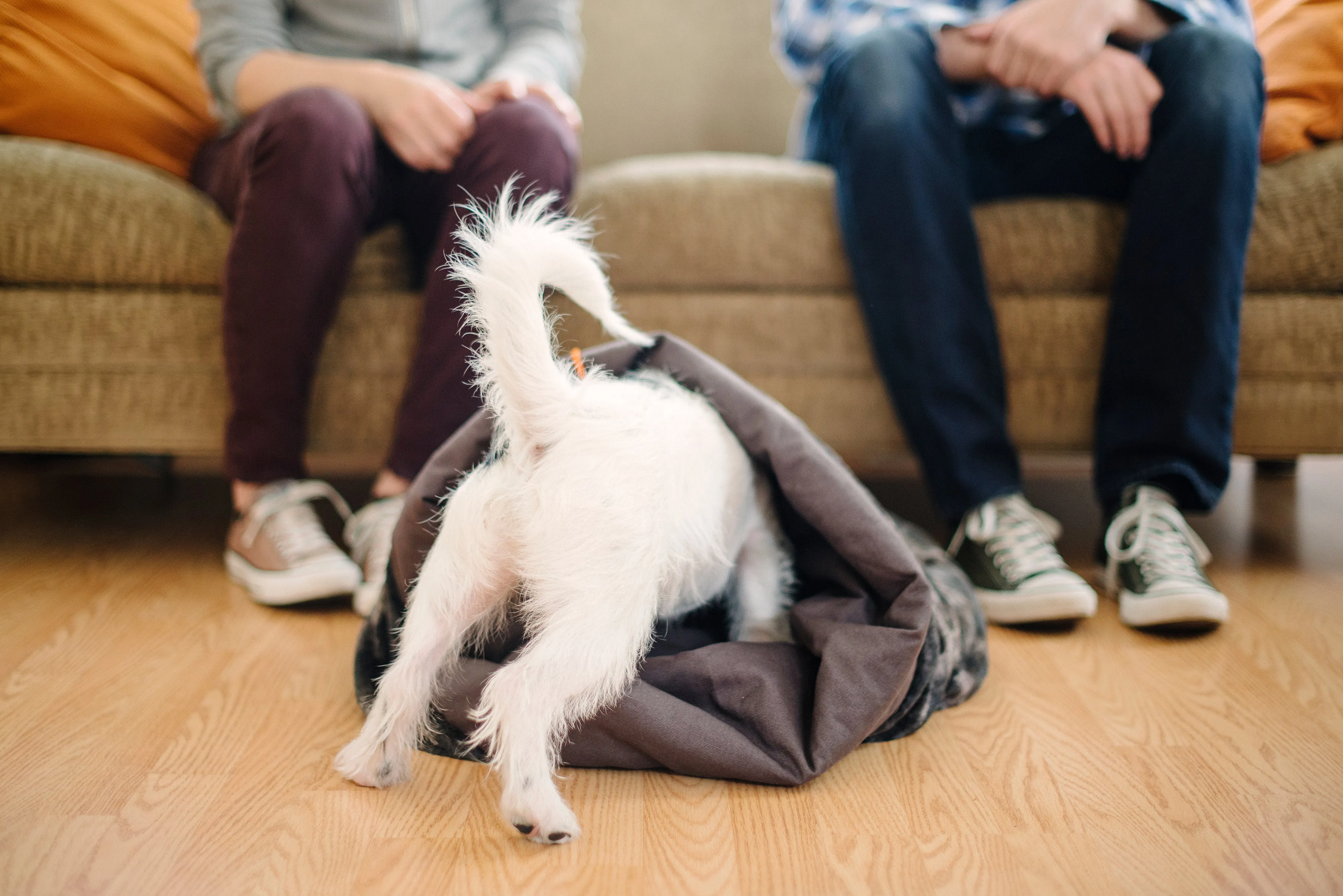Snuggle Beds for Dogs and Cats: Truffle Brown