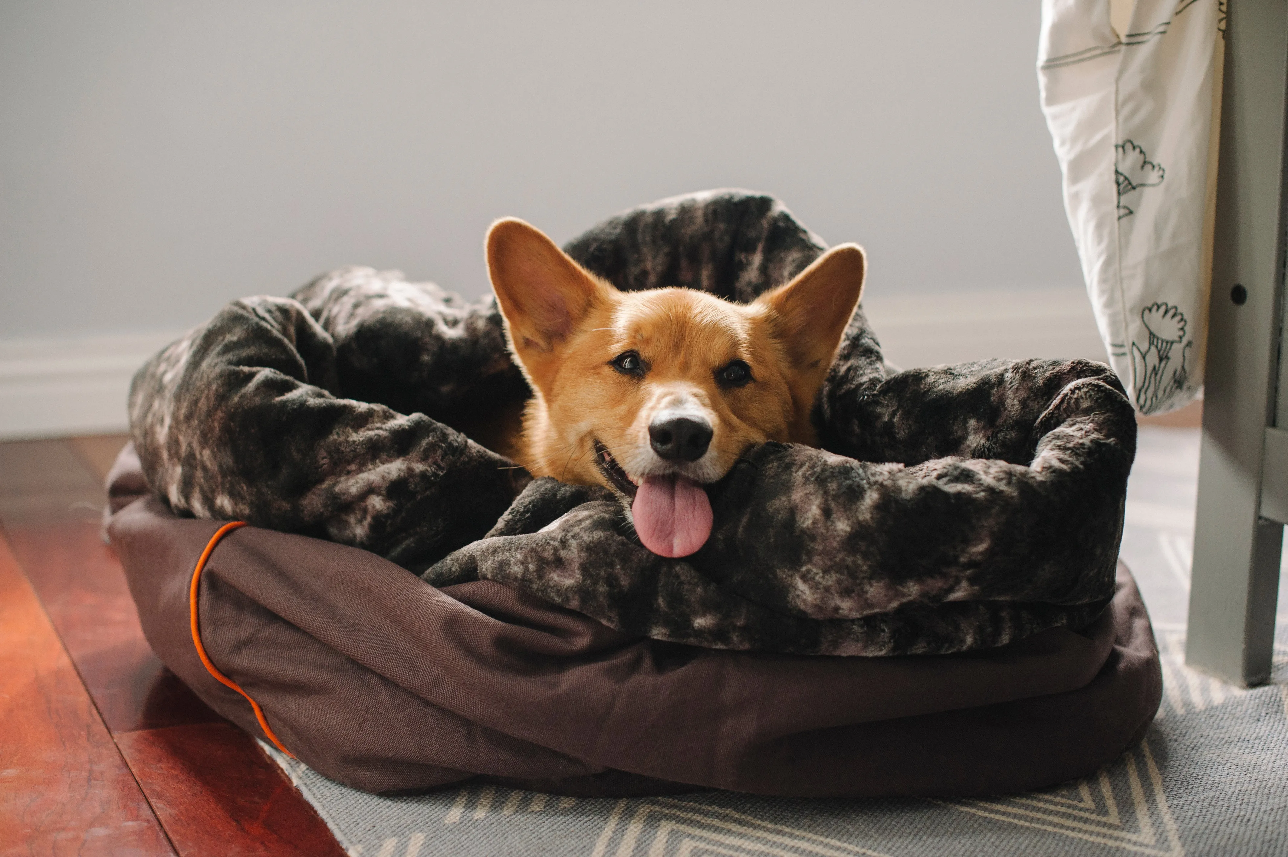 Snuggle Beds for Dogs and Cats: Truffle Brown