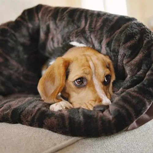 Snuggle Dog Bed Truffle Brown