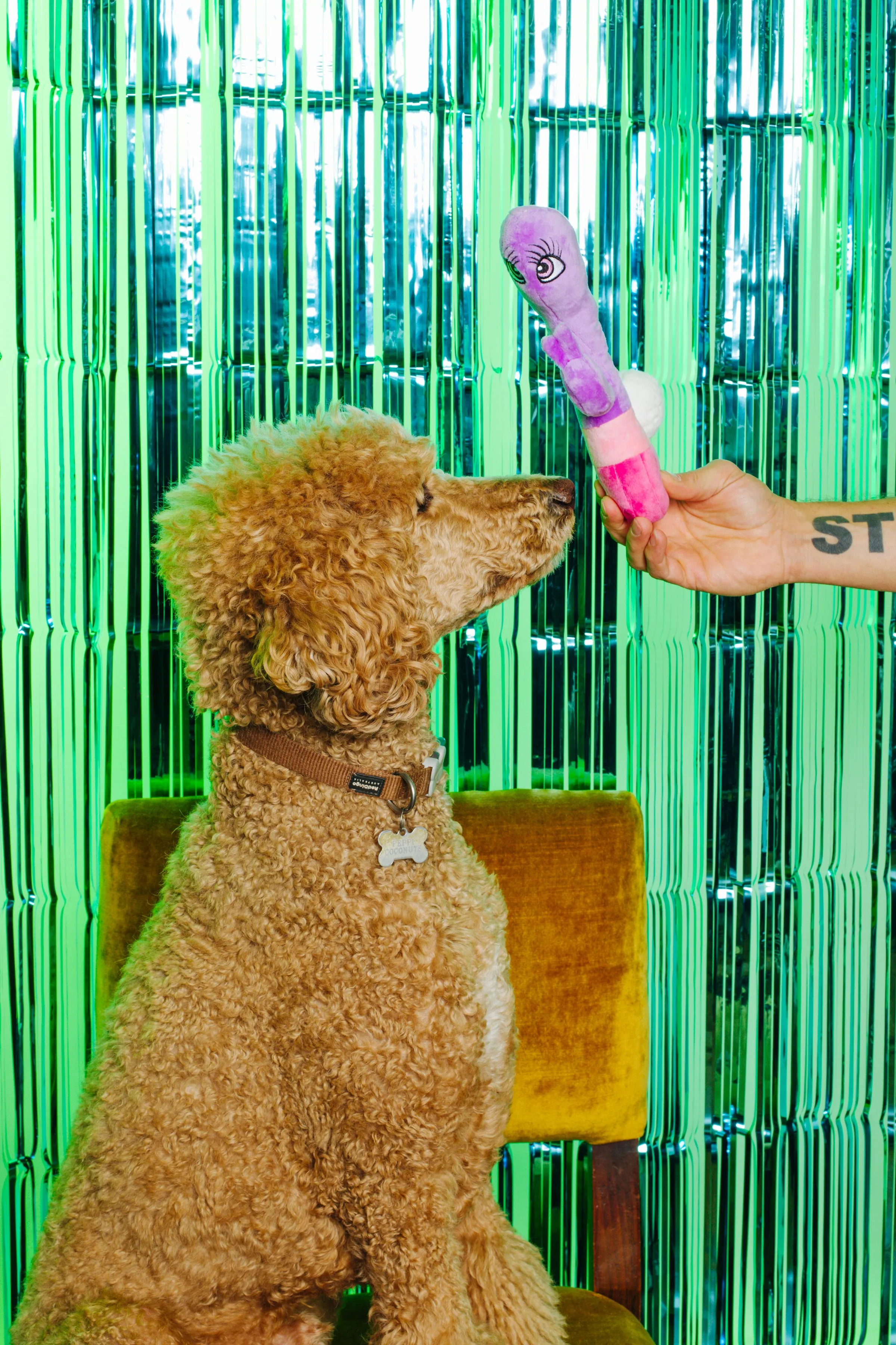 XXX PUPPY TOY: Bunny Vanderpup (Rabbit Vibrator)