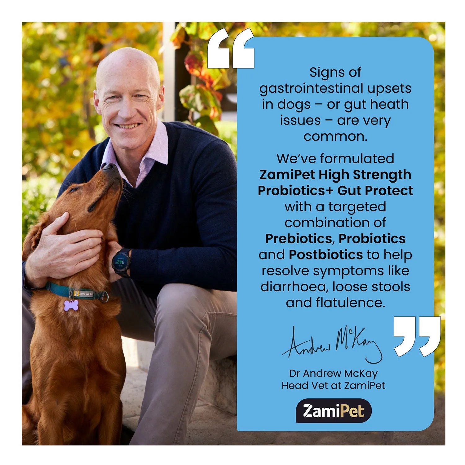 ZamiPet High Strength Probiotics   Gut Protect 30 x 1.2g Powder Sachets for Dogs