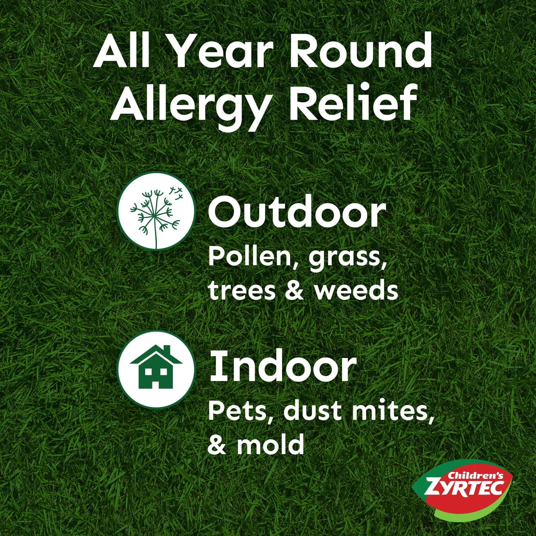 Zyrtec 24 Hour Children's Allergy Chews, 2  yrs, 2.5 mg Grape, 24Ct